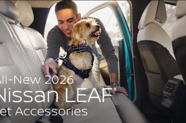 All-New 2026 Nissan LEAF Pet Accessories: Enhanced Comfort and Safety for Your Dog