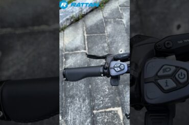 Rattan Sequoia High-Performance Electric Bike---Unleash the Ultimate E-Bike Experience. Period.