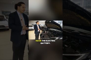 Hybrid vs  Plug in Hybrid
