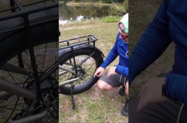 Velowave Best Electric Bikes