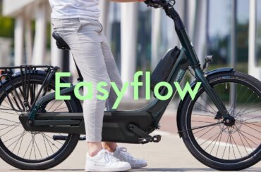 Gazelle Easyflow electric bike | Extra low entry | Safe e-bike