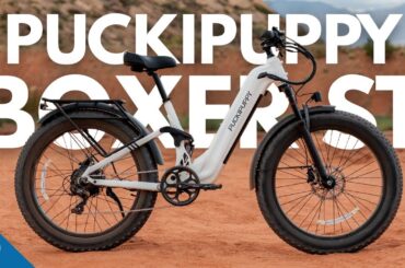 Puckipuppy Boxer ST Review | Playing Fetch All Day Long