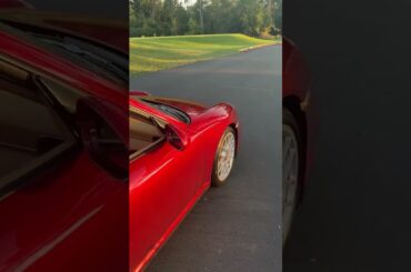 The apple of our eye #shorts