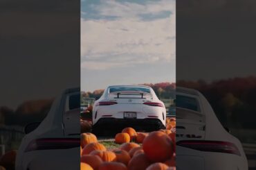 Found the sweetest pumpkin in the patch 🎃