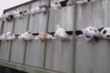 A very rare US model Iveco used for ‘Sirens of the Lambs’ by Banksy (2013)