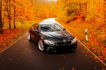 BMW F32 420d [3796x5694]