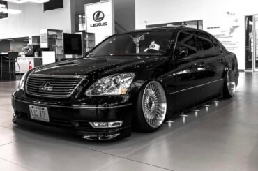 Which wheels are you choosing?