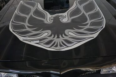 1978 TA decal placement