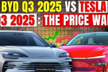 The Price War is REAL: BYD's Profit Plunges 33% (But They Just BEAT Tesla Globally)