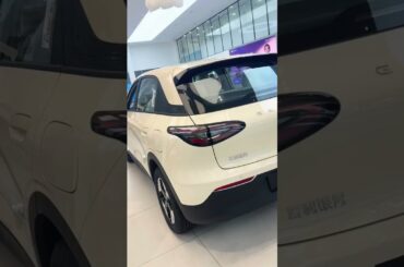 The New 2026 Geely Geome Xingyuan EV