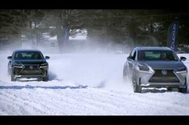 Lexus | Service de précision: Pneus d’hiver et pneus toutes saisons
