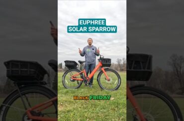 Don't Sleep On Euphree's Solar Sparrow! | Euphree Black Friday Sale