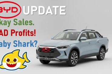BYD Update - the Good, the BAD and the Adorable? (Nov. 2025)