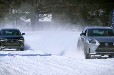 Lexus | Precision Service: Winter Tires vs. All-Season Tires
