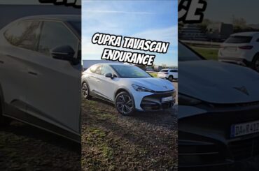 Der beste Cupra? Tavascan Endurance ##ev