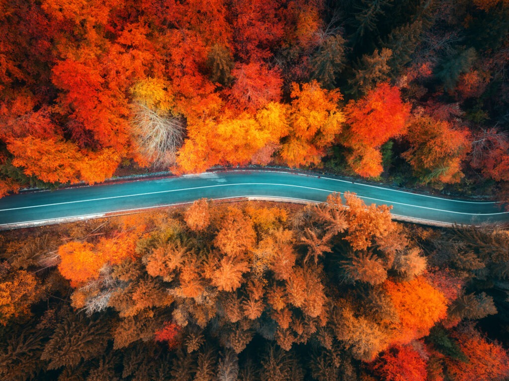 Aerial view of mountain road and colourful forest in autumn