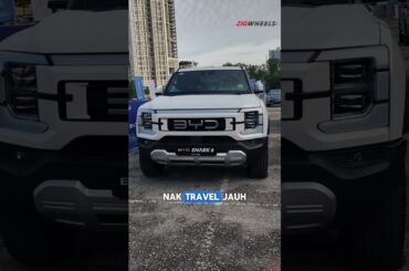 PHEV pickup like the BYD Shark the real solution or just hype?