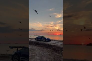 Spreading our wings #shorts