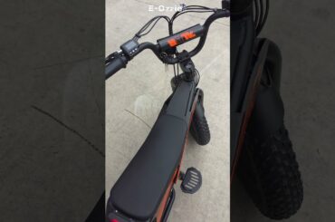 Flight Risk FR101 | Safe, Fast & Fun Kids eBike!