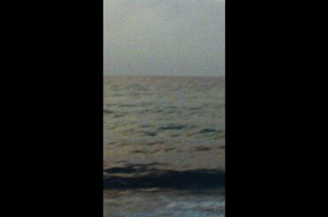 From Miami, with mud.