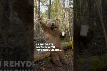 #NewCitroënC3Aircross - Bear’s morning routine