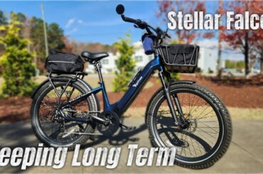 Euphree Stellar Falcon Selected for Long Term Review