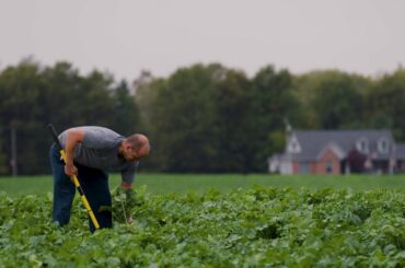 How Honda and Farmers Advance Carbon Removal for Healthier Air and Soil