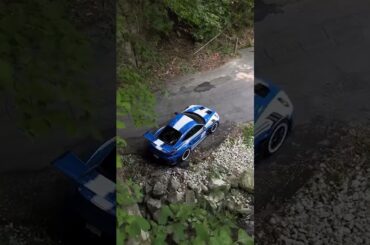 Reconnecting with nature #shorts