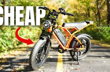 This CHEAP 2 Person E-Bike Is ONLY $699? | TST R002 Review (Fall 2025 Update)