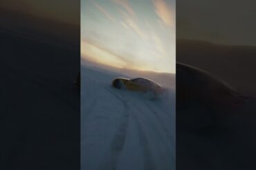 Elegance frozen in motion ❄️