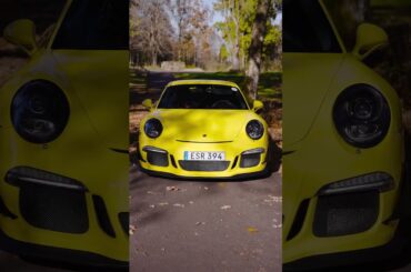 Don't let the cute colour fool you #shorts