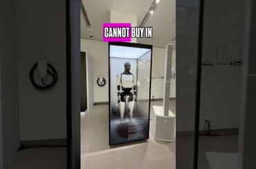 4 Quirky Features of Tesla Model Y!