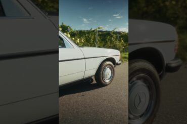 Brb, we will just be here...|#shorts