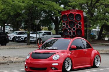 When the amp goes not just to 11, but 1100. Meet the beetle blaster (Not its real name) [OC]