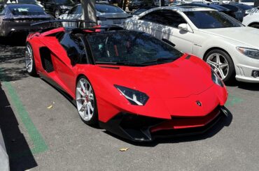 Lamborghini Aventador SV Roadster [2549x2541]