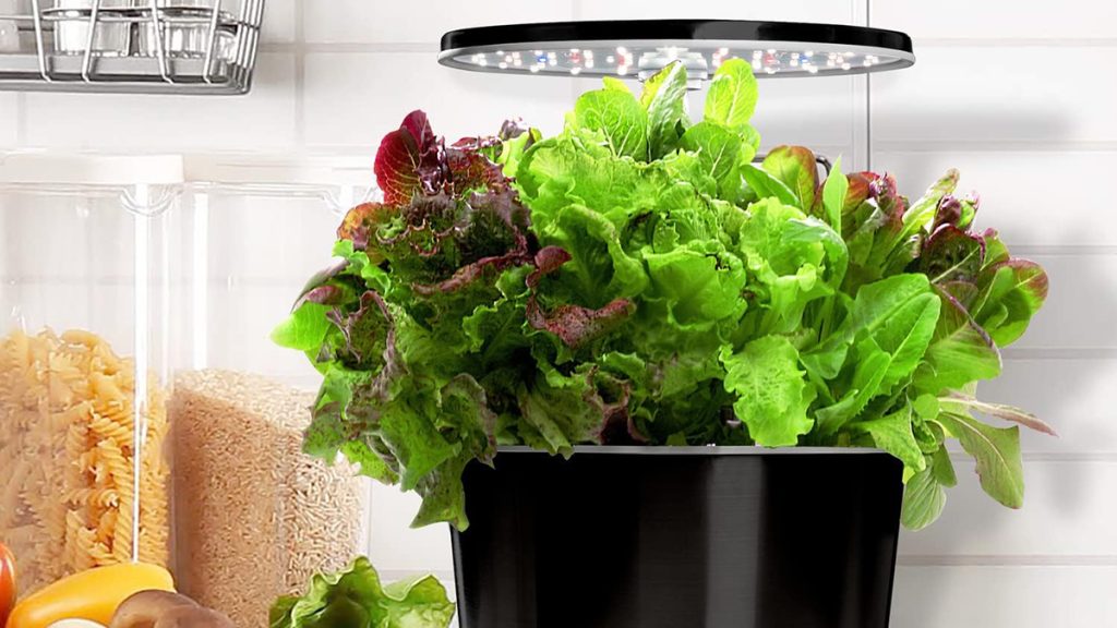 AeroGarden Harvest Elite 360 indoor hydroponic system
