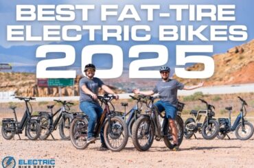 Best Fat Tire Electric Bikes 2025
