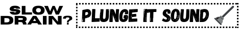 Promotion: Plunge It Sound. Slow drain? Call or text Casey to schedule. 425-954-3088. Sinks, showers, tubs and toilets.