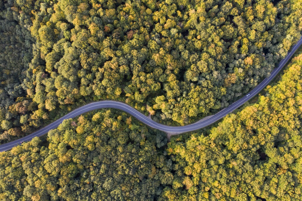 Aerial view of curving road through colourful autumn forest