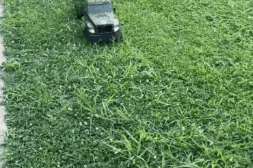 Mini Mower