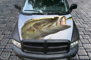 You get $25,000 but for the next 5 years, this hood cover gets automatically applied to any car you own and you can't take it off until the 5 years are up