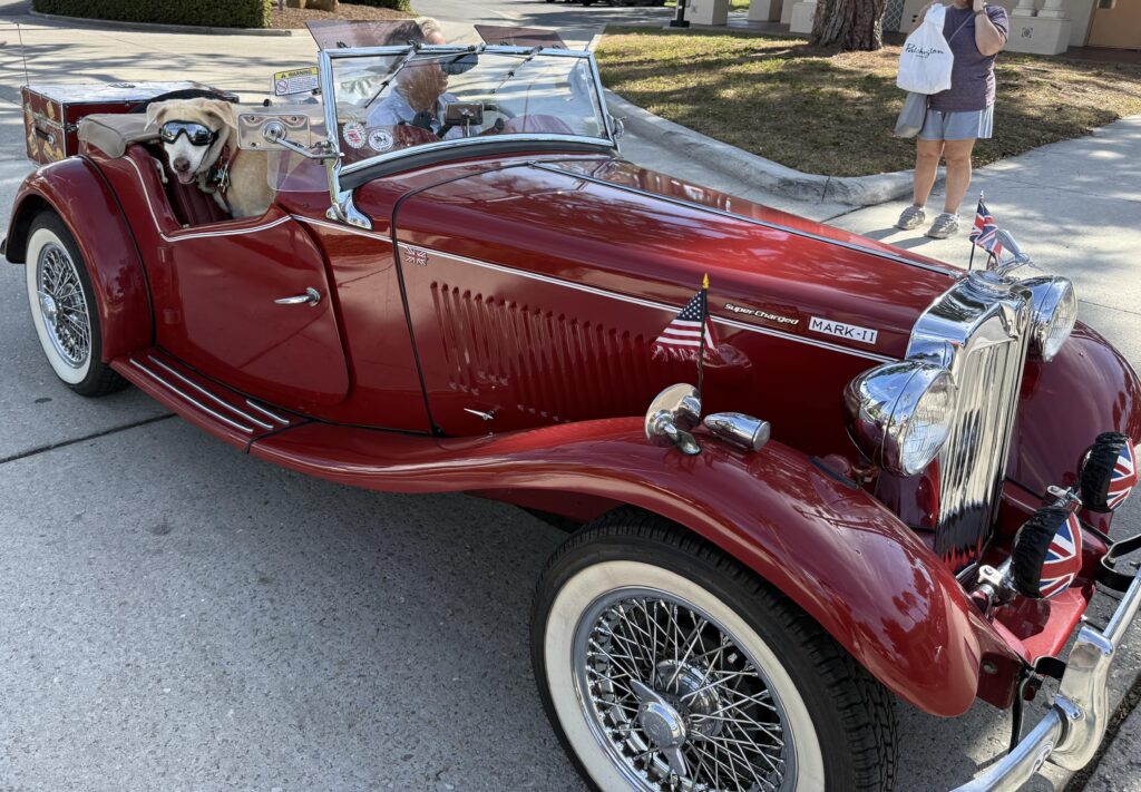 Spotted in Venice, Florida [MG TD?]