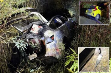 Mental health company founder allegedly starts fire, crashes car in Bay Area winery meltdown