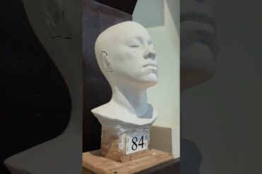 De Lexus au cirque : une soirée mémorable