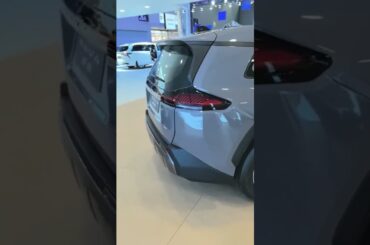 Toyota's NEW Rugged Hybrid & PHEV Crossover: the 2026 RAV4 Woodland