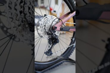 What makes this Electric Bike special?