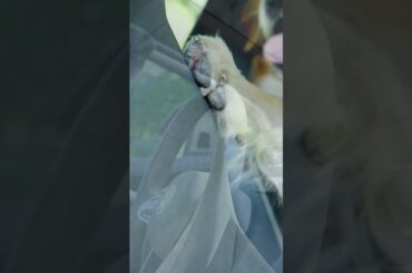 Everyone deserves the nice things in life.