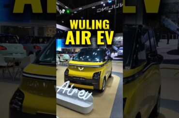 WULING makes the cheapest EV in the world!