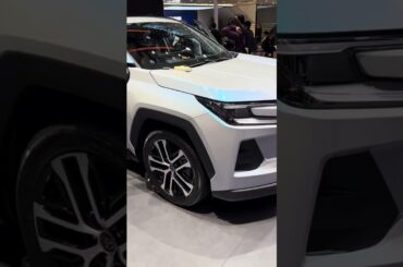 Which one of these two Toyota RAV4s would you choose?