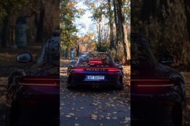 Leaving autumn behind like... #shorts